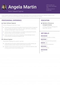 Software-Engineer-Mid-Level