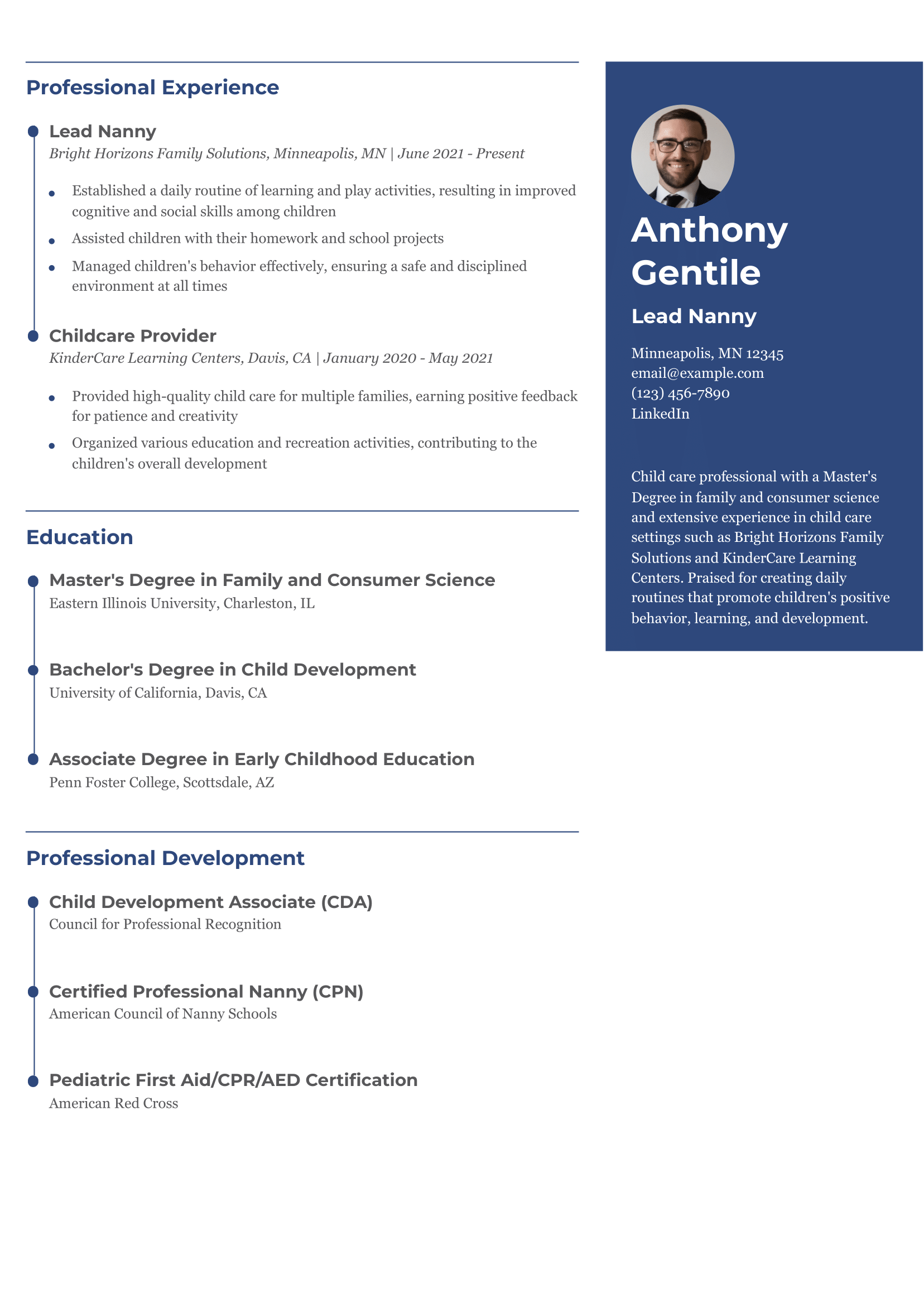10 Babysitter Resume Examples and - Babysitter Nanny Resume Example Banner Image babysitting resume example