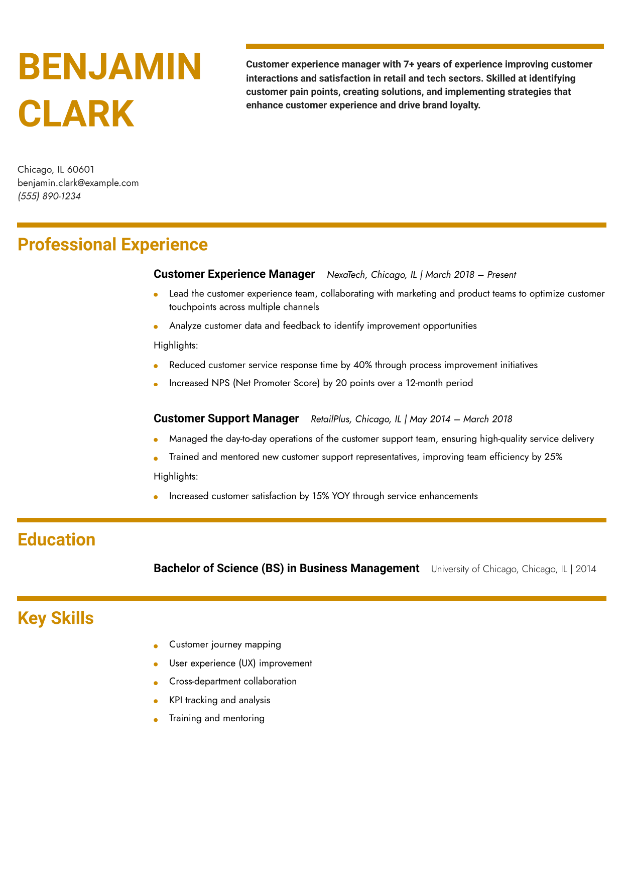 Customer Experience Manager Resume Example