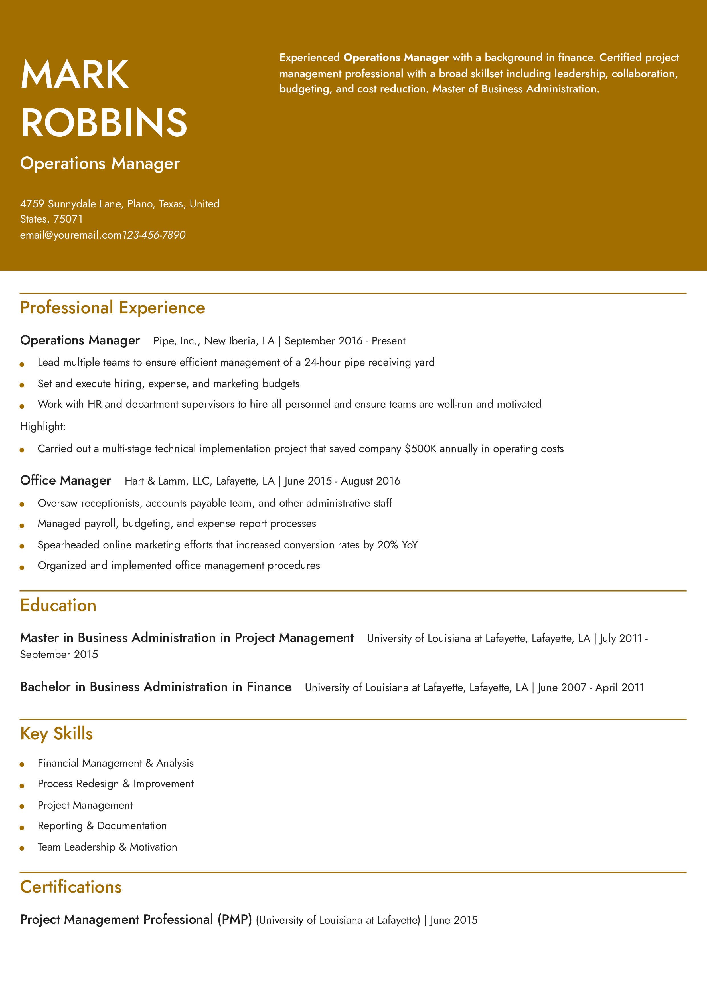 Mid-Career Resume