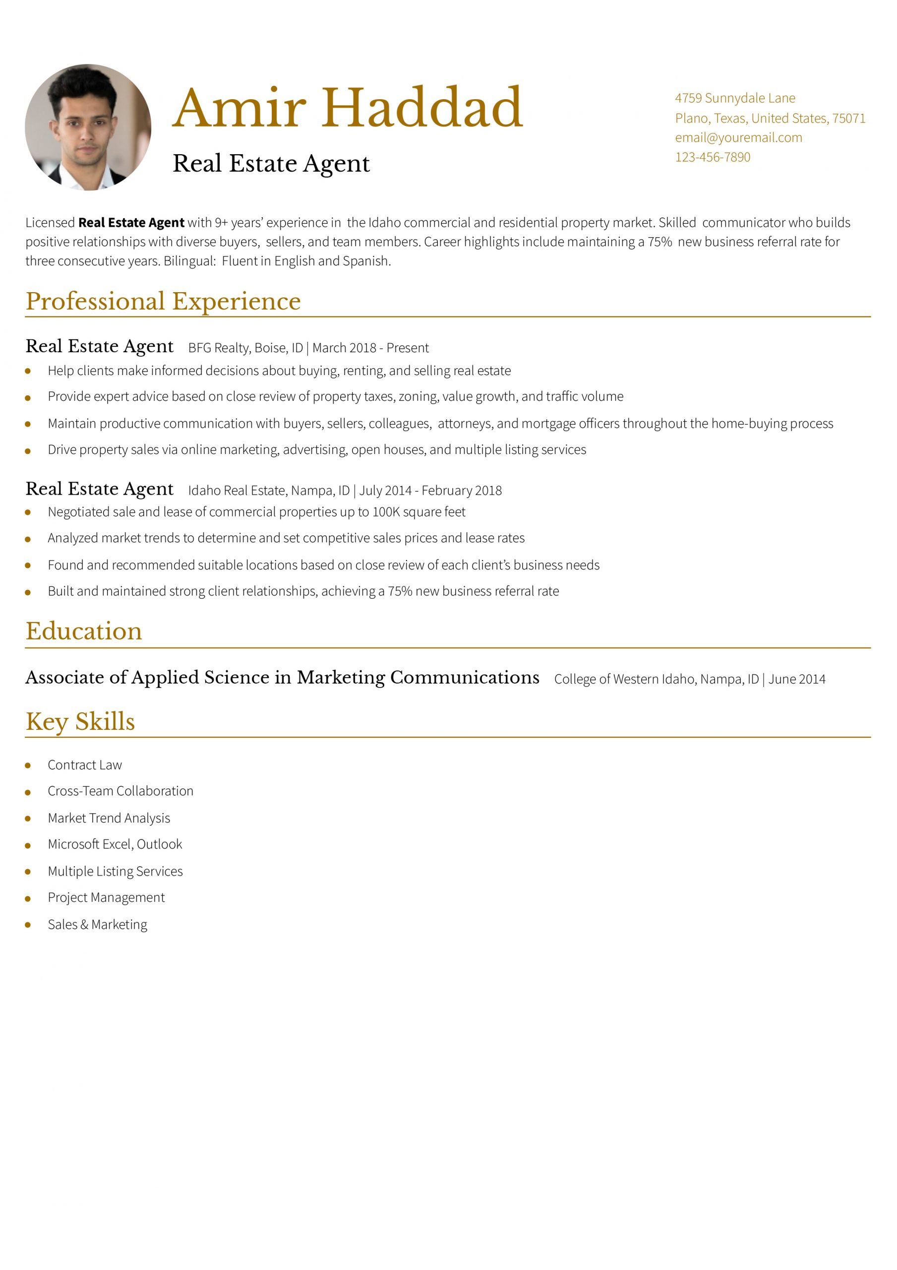 Real Estate Agent Resume Examples and Templates for 2024