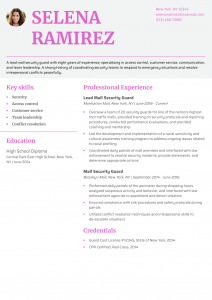 Mall Security Guard Resume Example