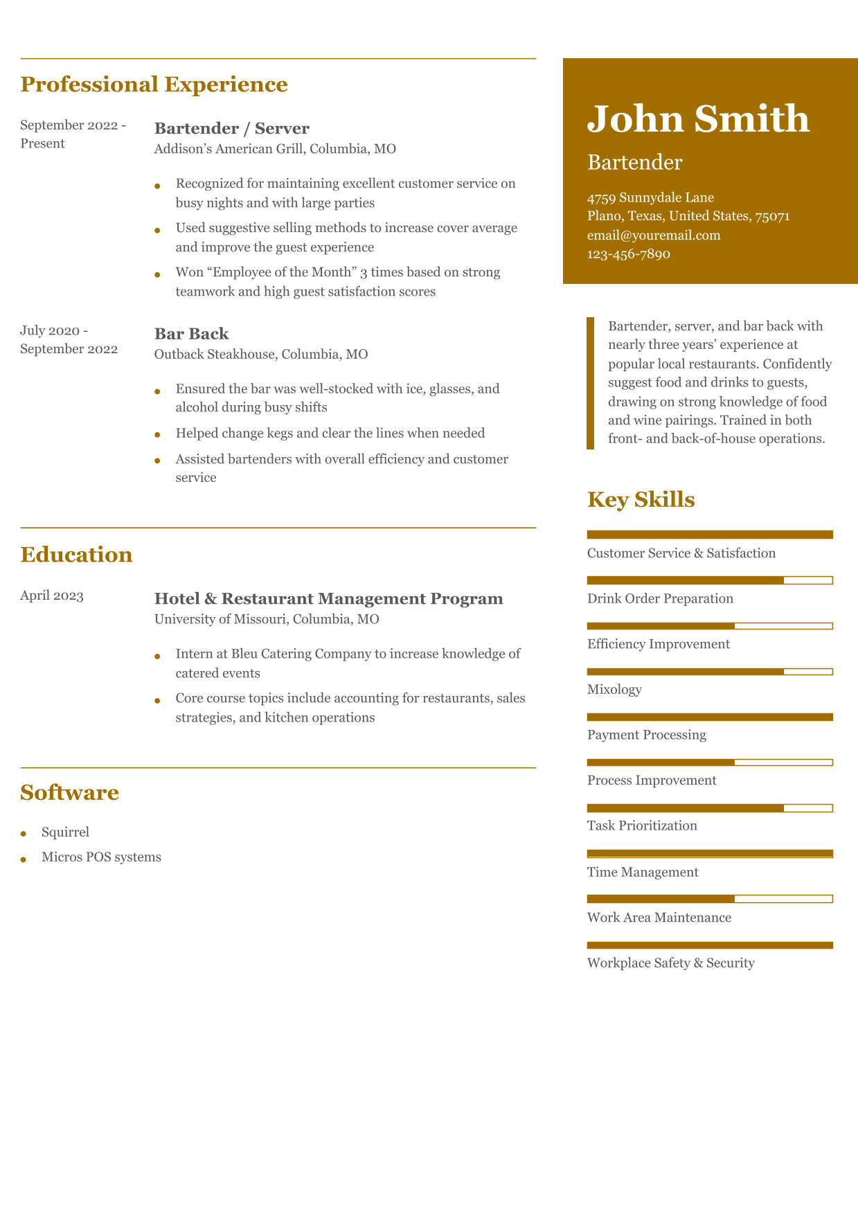 Entry-Level Bartender Resume Example