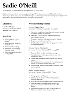 Customer Success Manager Resume Examples and Templates