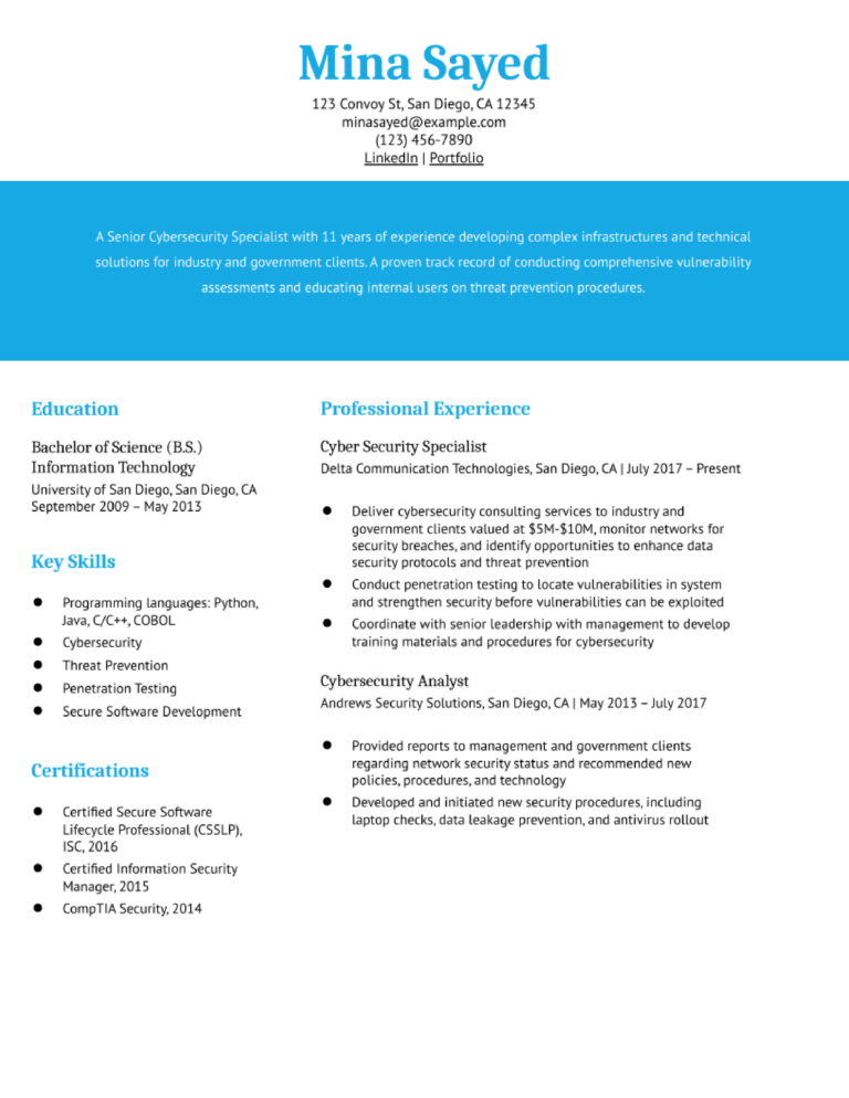 Information Technology (IT) Resume Examples and Templates Banner Image