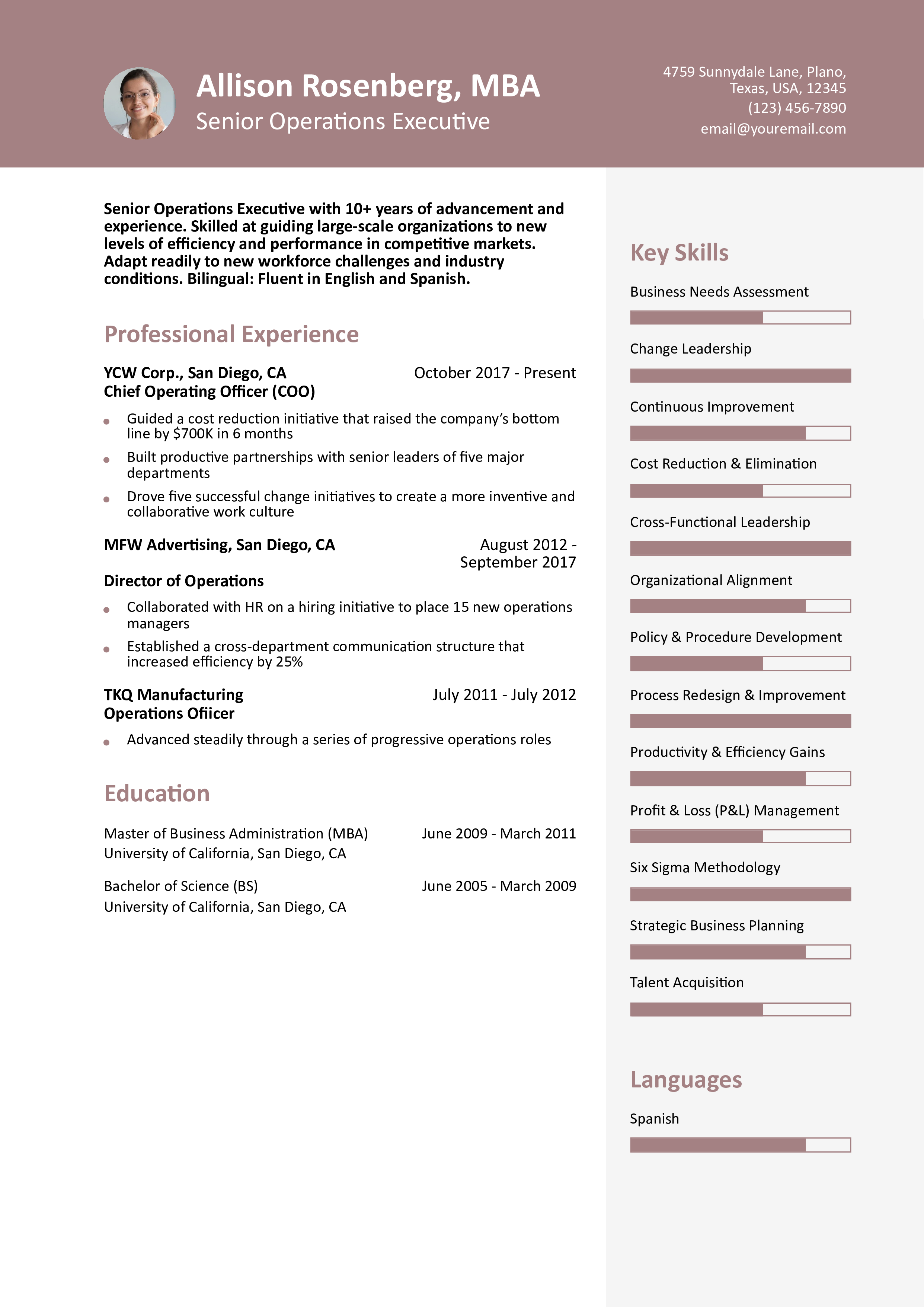 Senior-level Resume