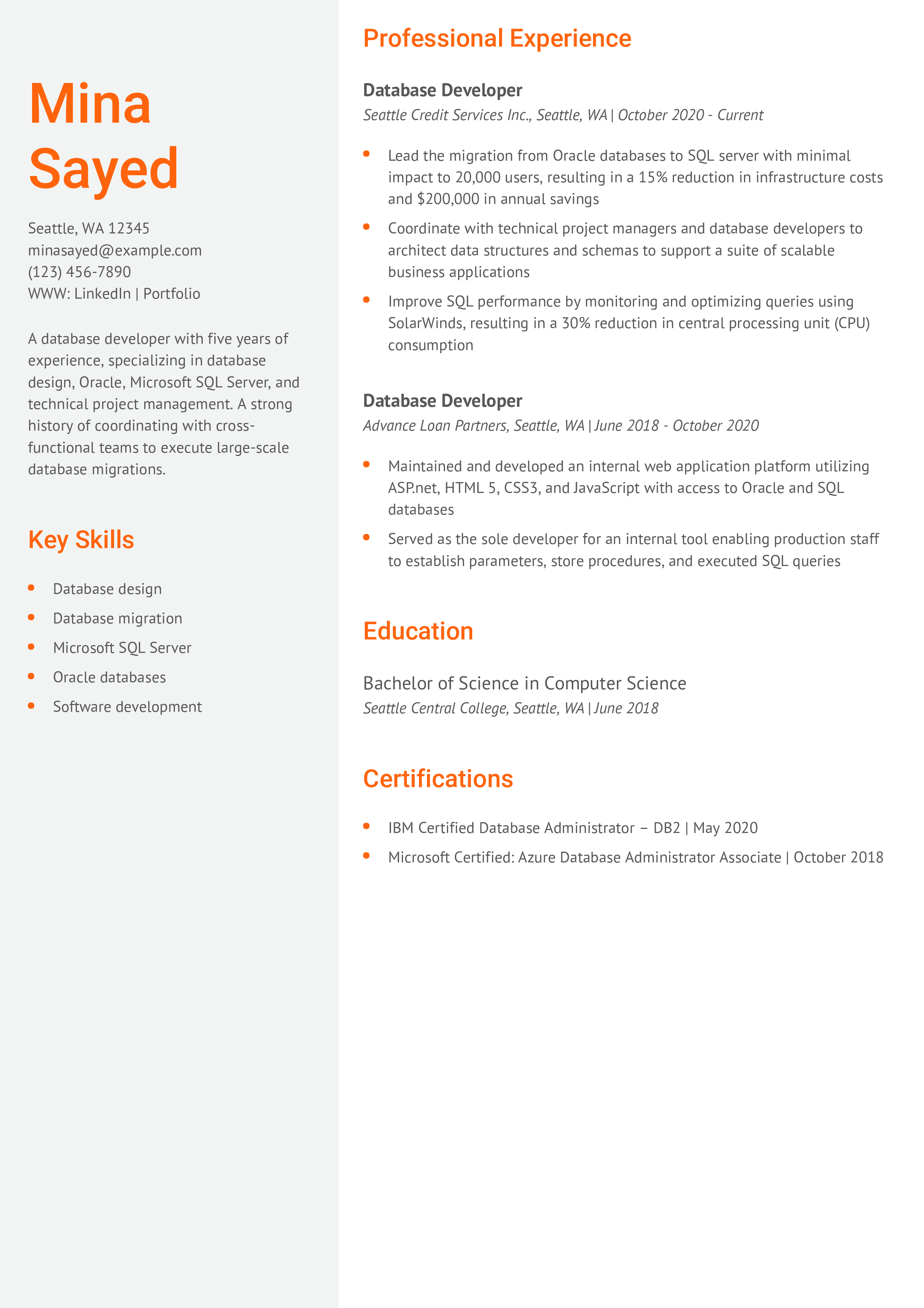 Database Developer Word Resume Example