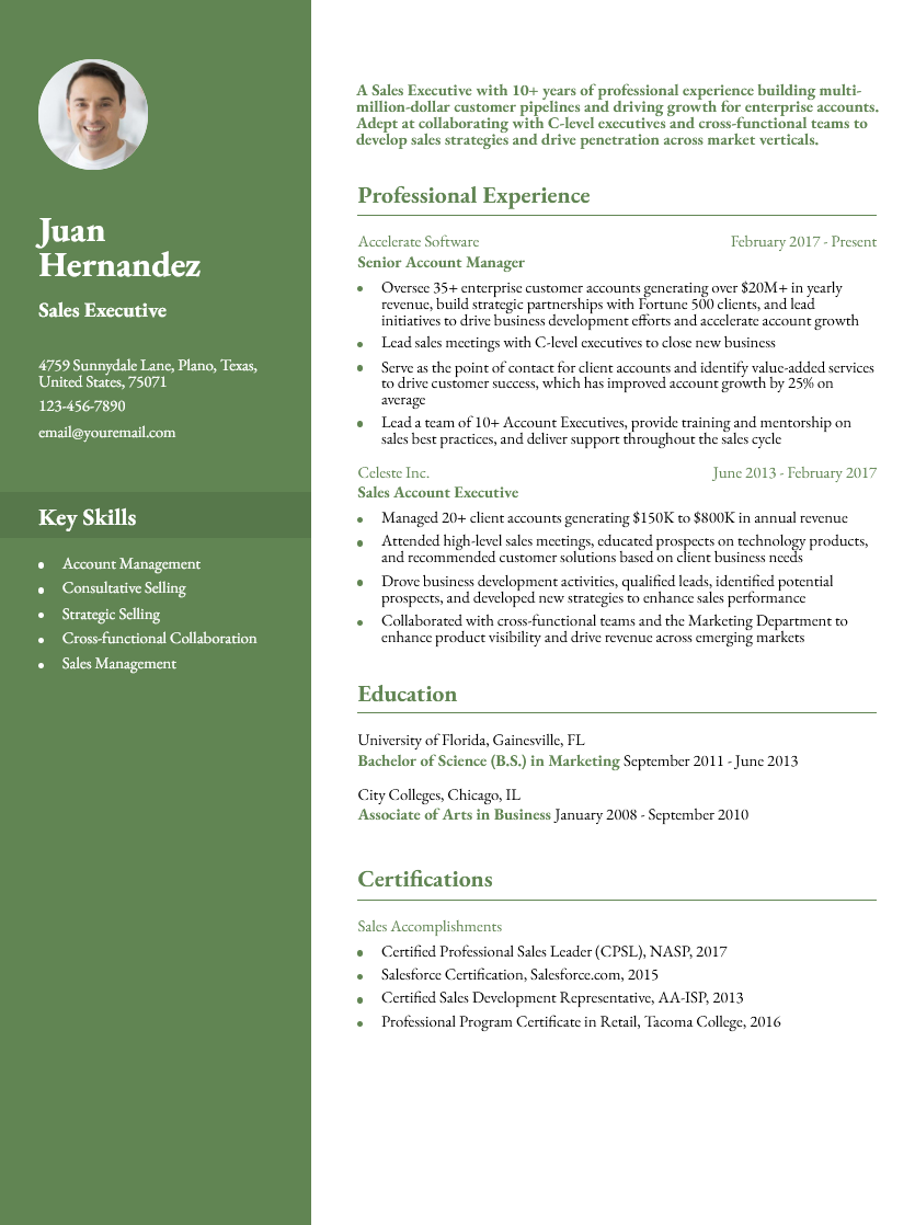 Resumemaker For Freshers Online Resume Builder Free Online Resume