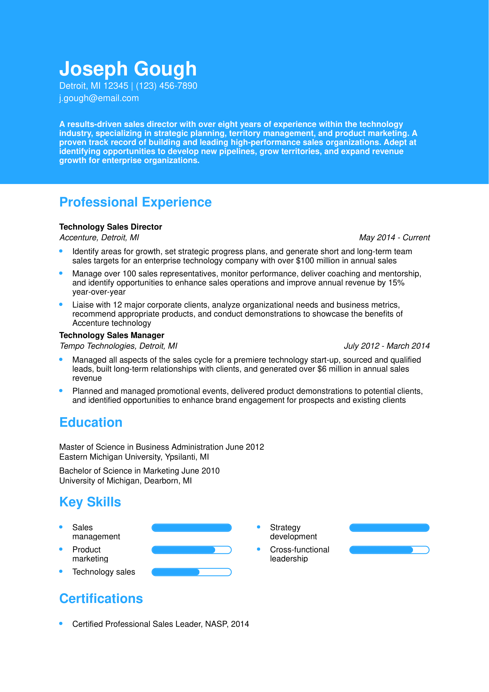 Sales Director Resume Example