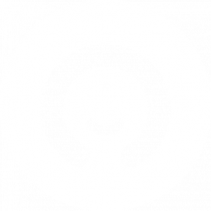Omni Studio White Logo
