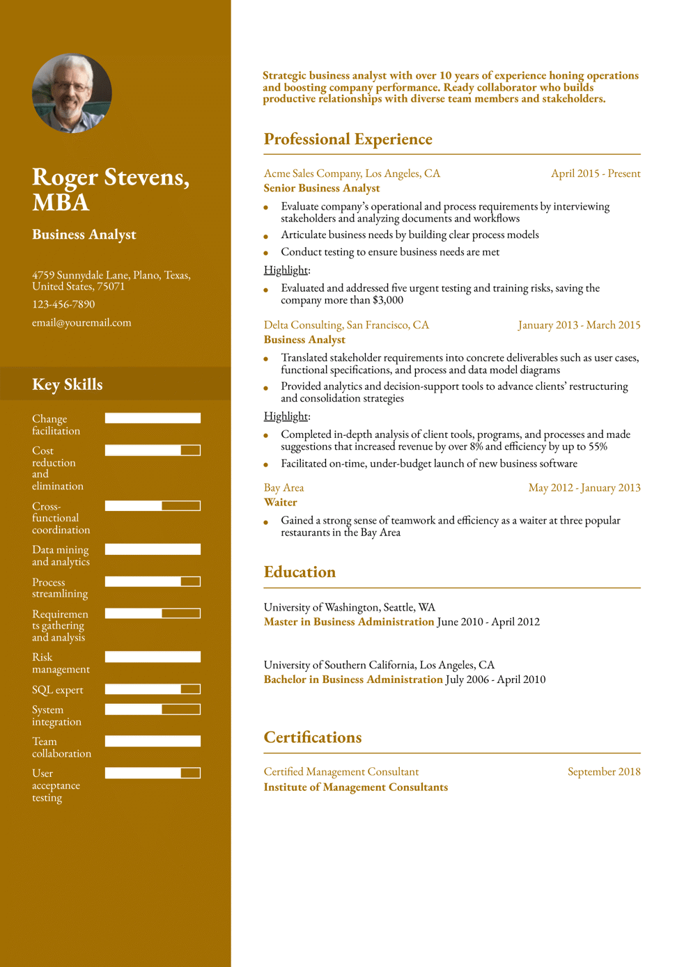 Senior-Level Business Analyst Resume Example