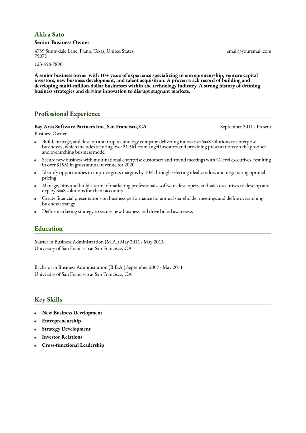 Technology Business Owner Resume Example