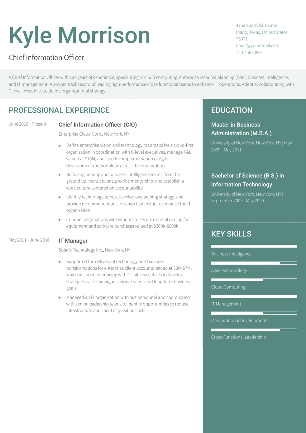 Chief Information Officer (CIO) Resume Example