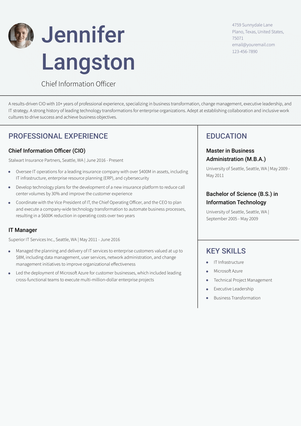 Chief Information Officer Resume Example