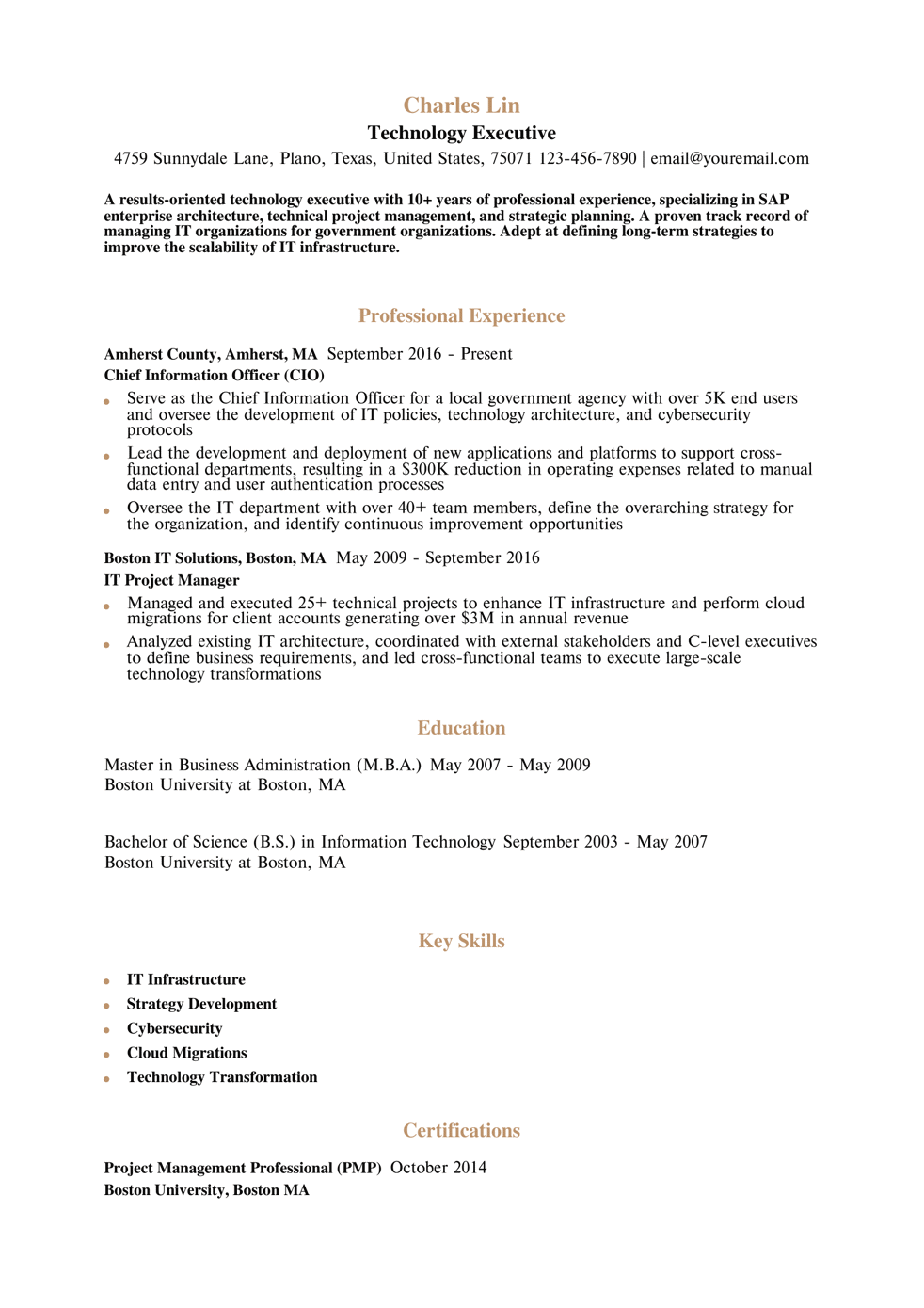 Chief Information Officer Resume Example