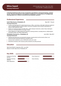 Cleaning Professional Resume Examples Senior-Level