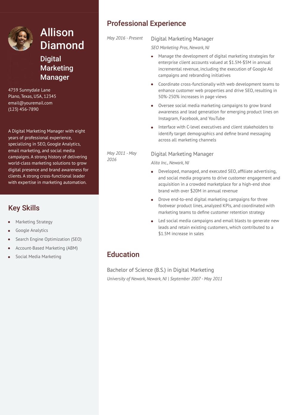 9 Digital Marketing Resume Examples - Digital Marketing Manager Resume Examples Mid Career 