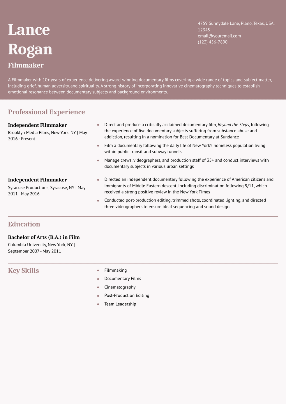 Senior-Level Filmmaker Resume Example