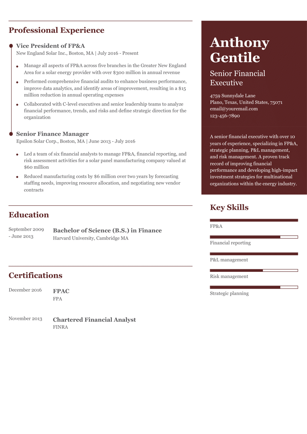 Senior-Level FP&A Resume Example