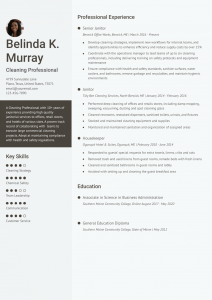 Janitor Resume Examples Senior-Level