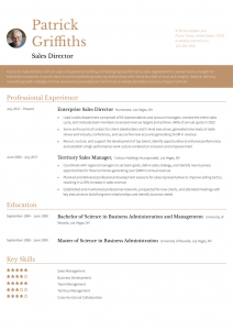 Sales Director Resume Examples Senior-Level