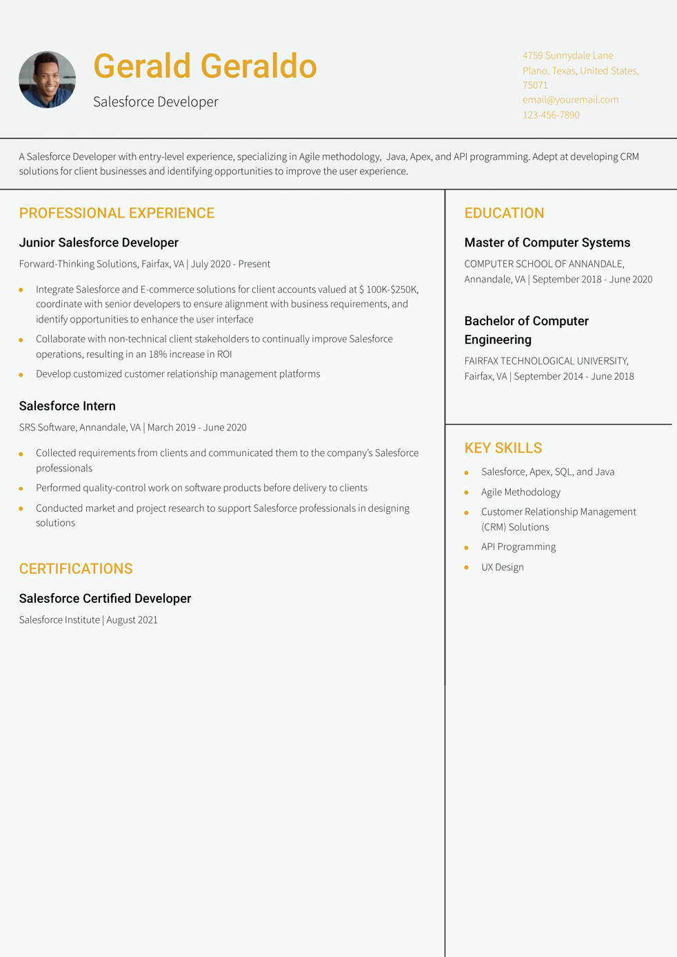 Entry-Level Salesforce Developer Resume