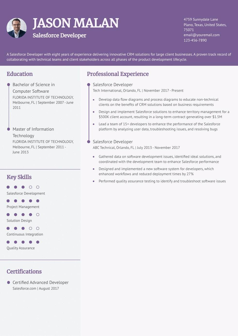 Mid-Level Salesforce Developer Resume