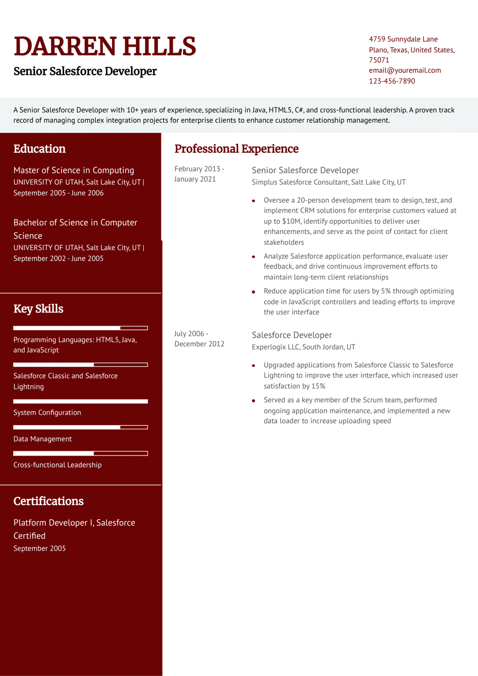 Senior Salesforce Developer Resume