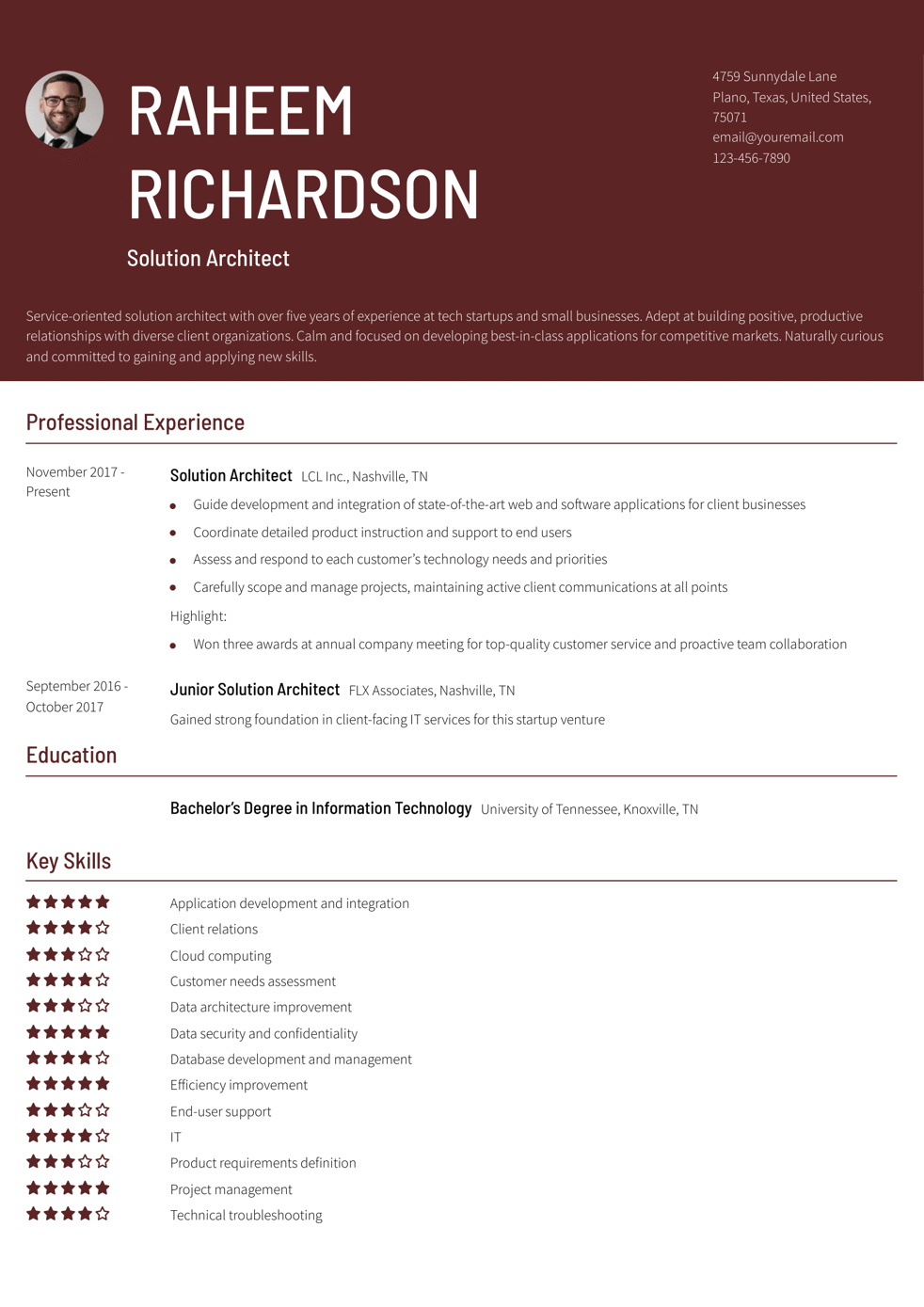 Solution Architect Resume Example