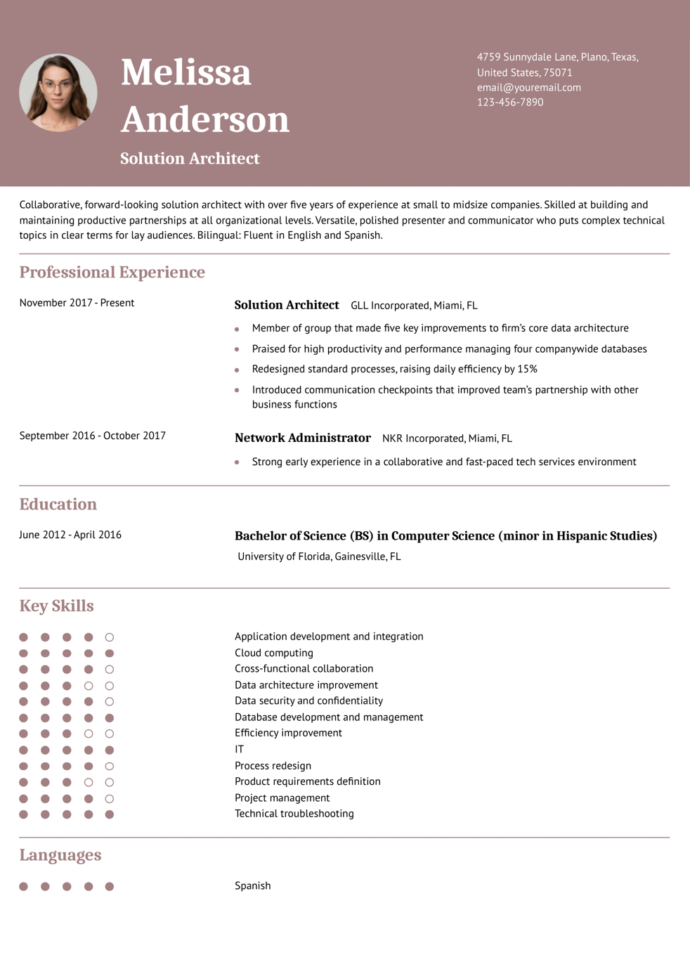 Small to Midsize Company Solution Architect Resume Example