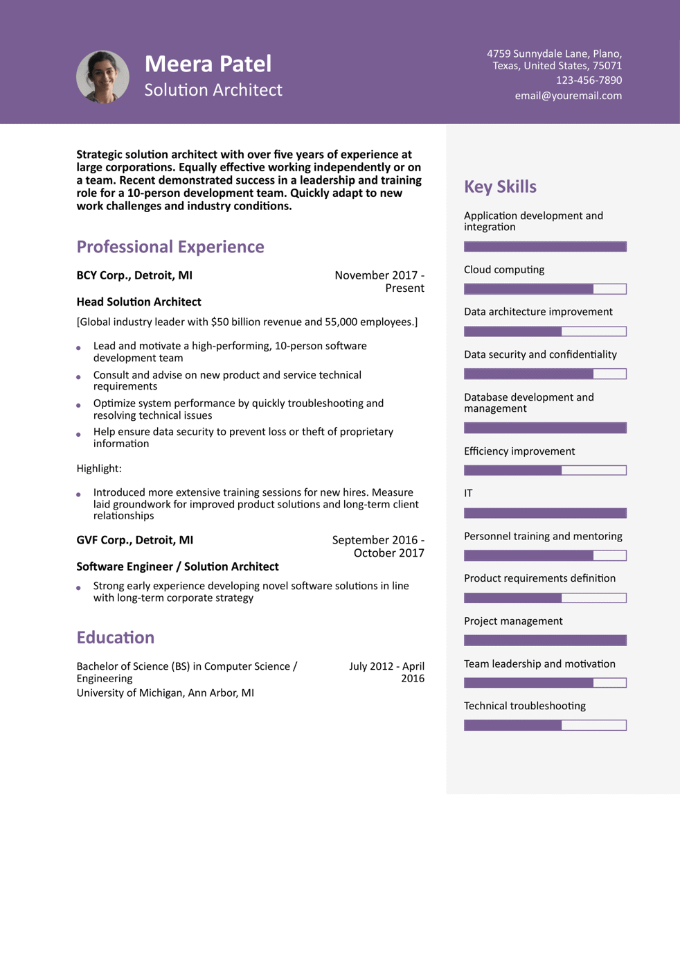 Large Corporation Solution Architect Resume Example