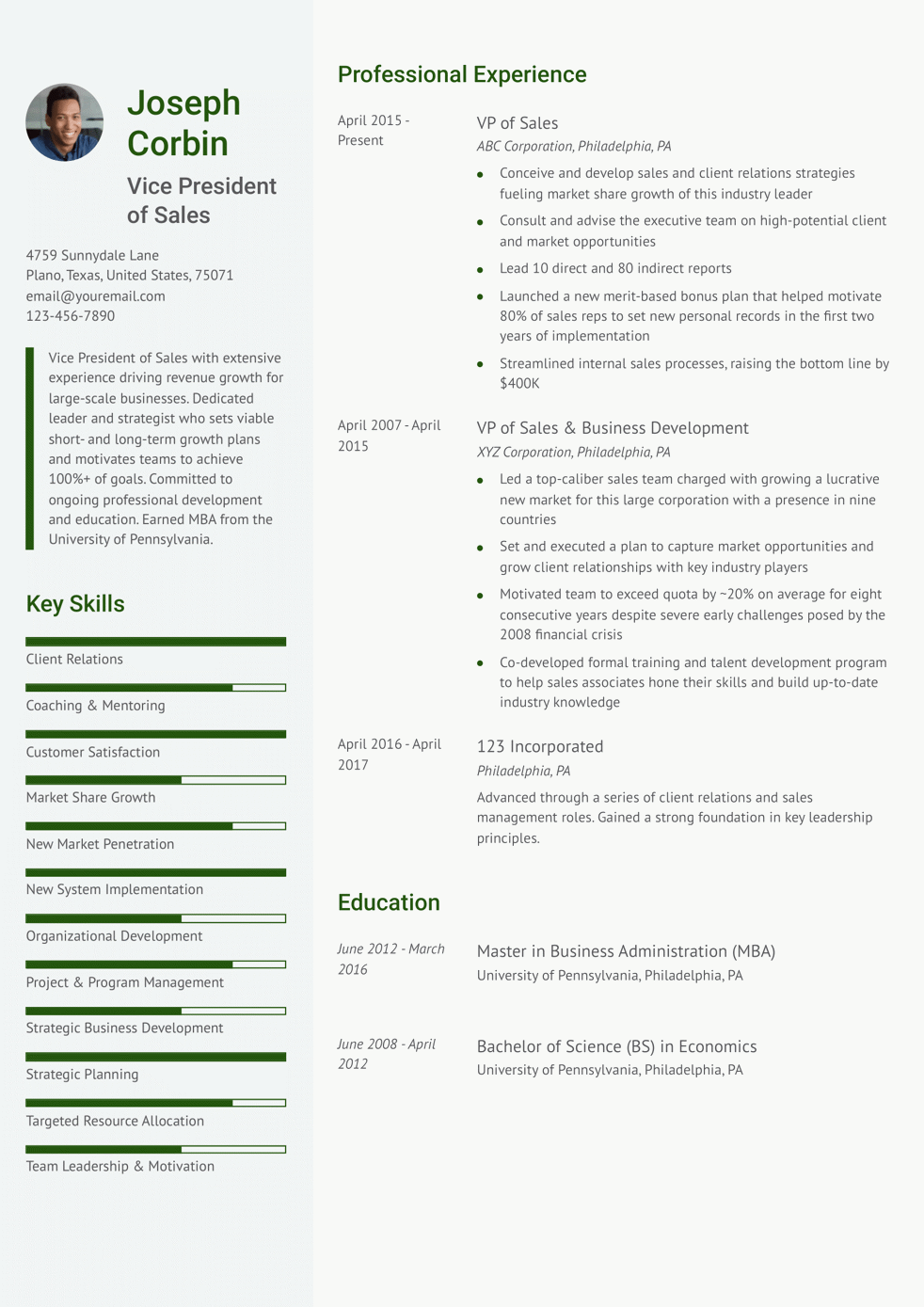 Entry-Level VP of Sales Resume