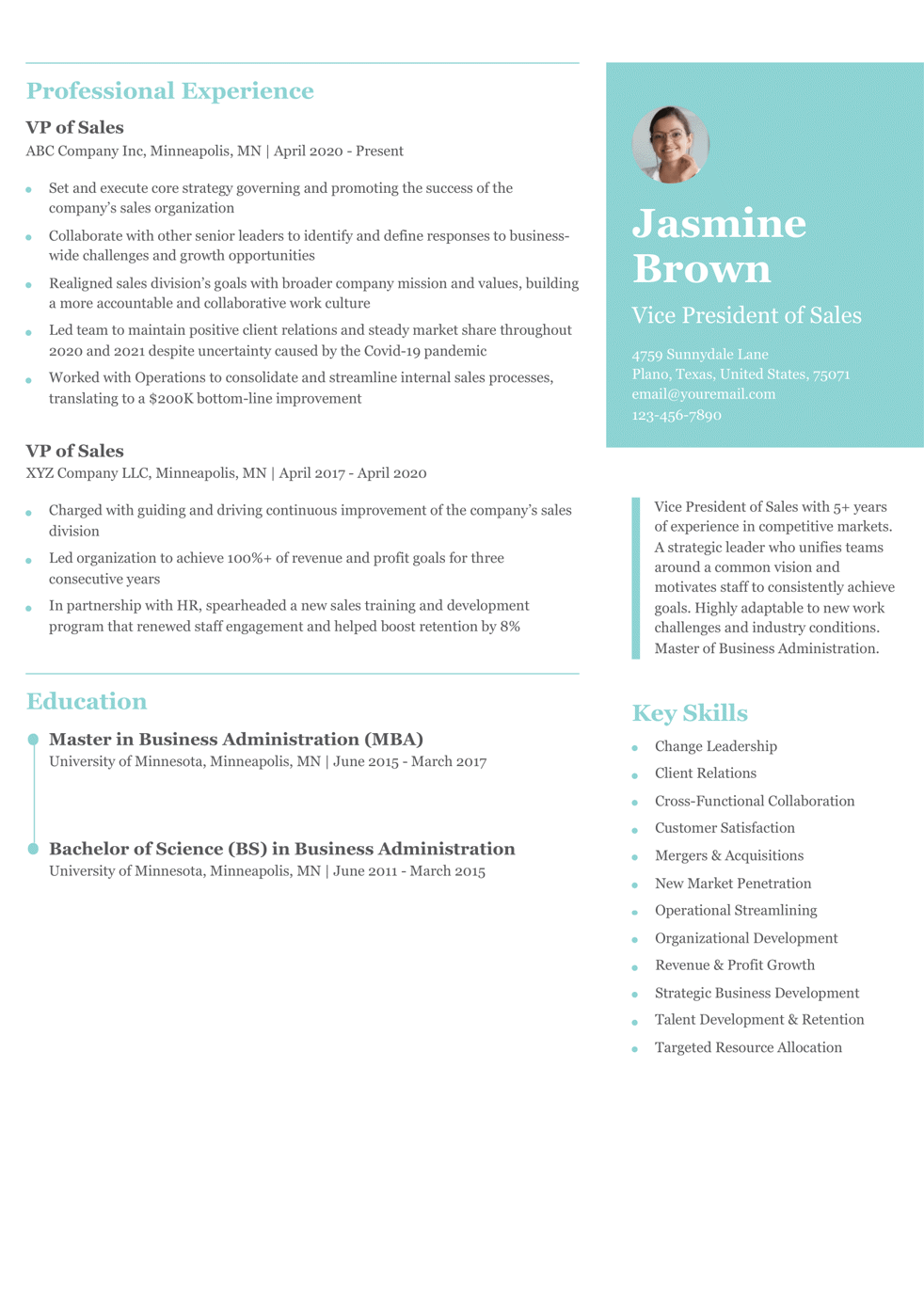 Senior-Level VP of Sales Resume