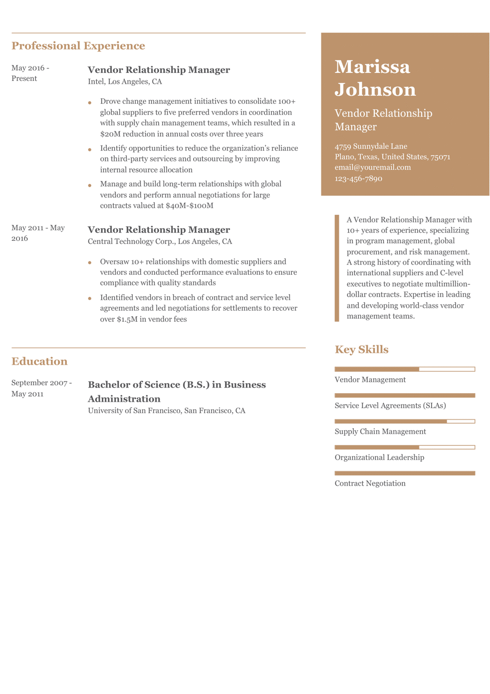 Senior-Level Vendor Relationship Manager Resume