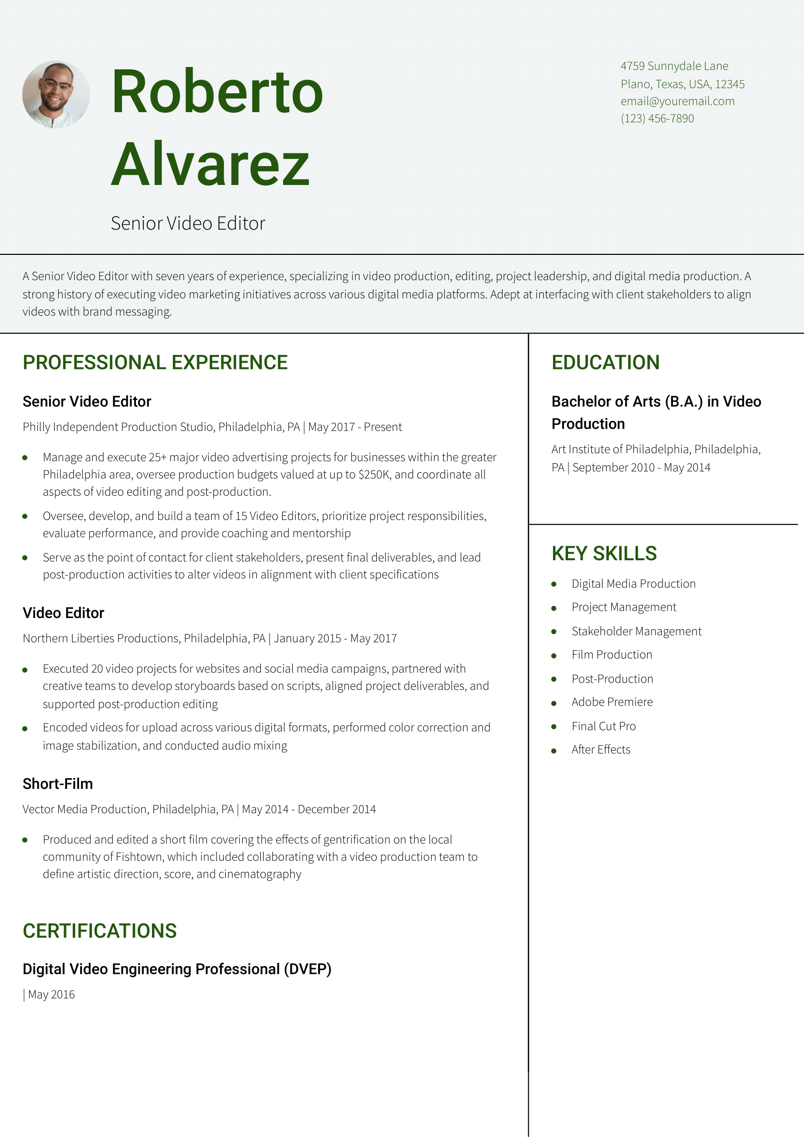 Senior Video Editor Resume Example