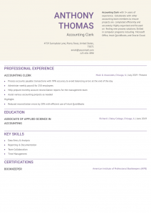 Accounting Clerk Resume Examples Entry Level