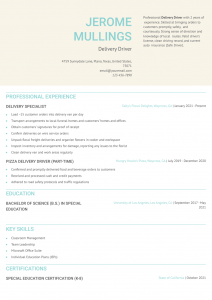 Delivery Driver Resume Examples Entry Level