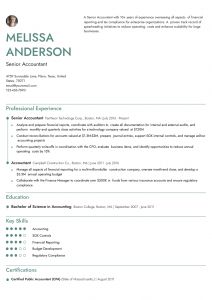 General Accountant Resume Examples Senior-Level