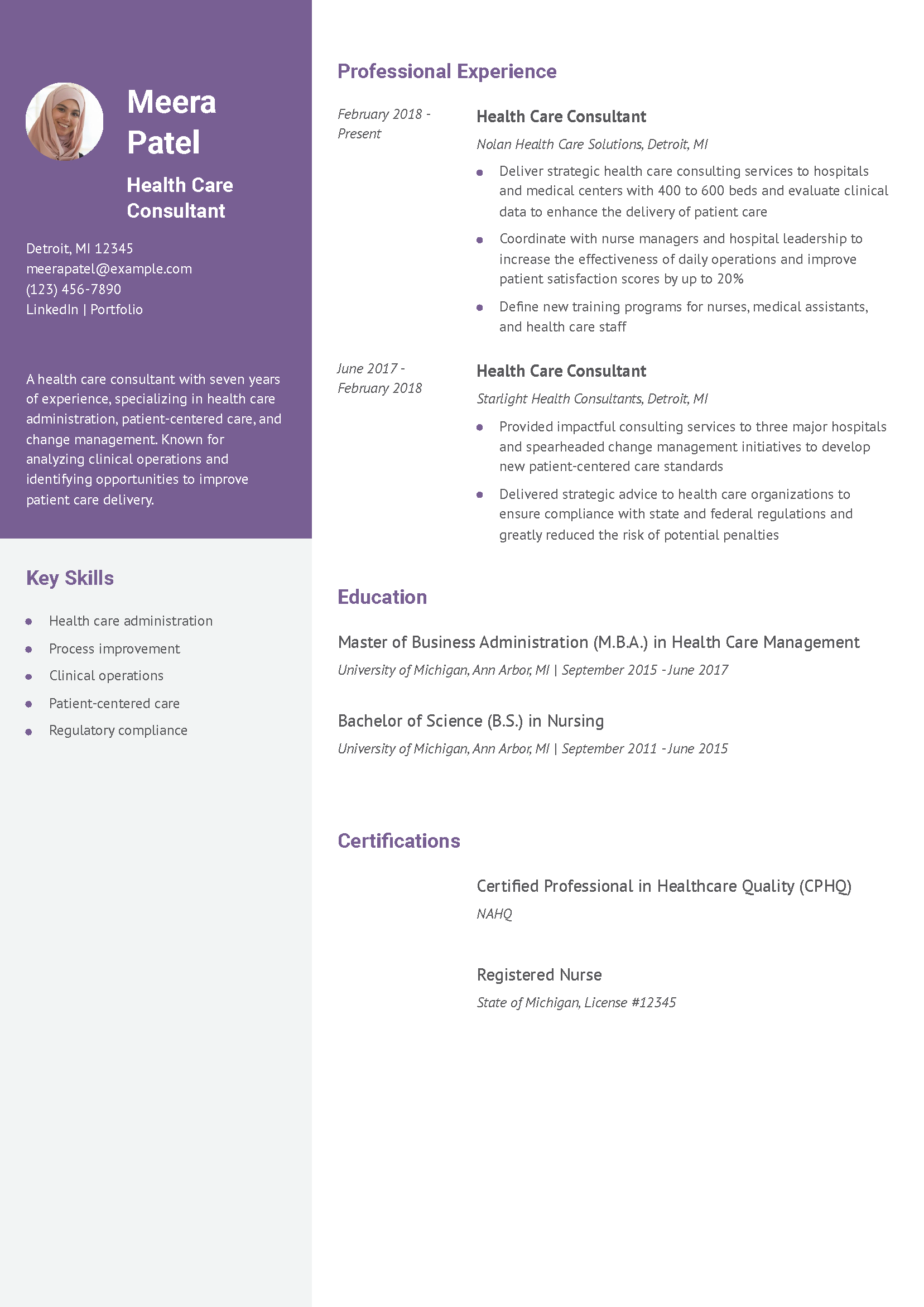Health Care Consultant Resume Example
