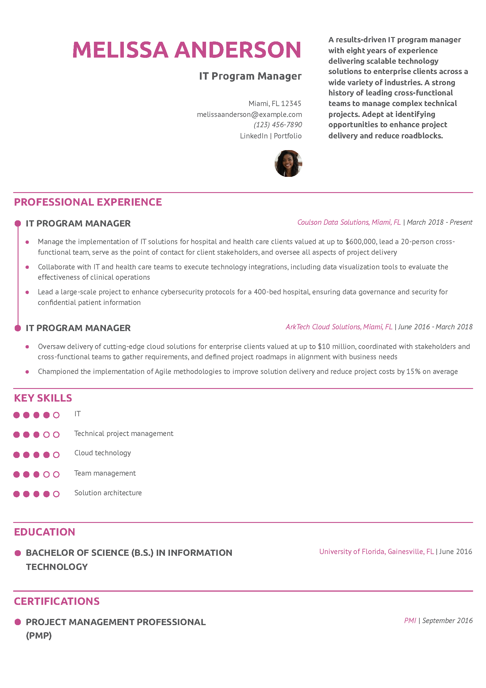 IT Program Manager Resume Example
