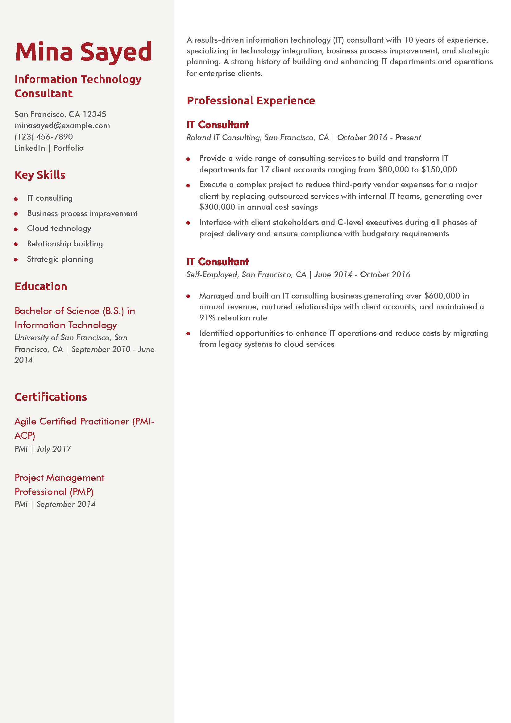 Information Technology Consultant Resume Example