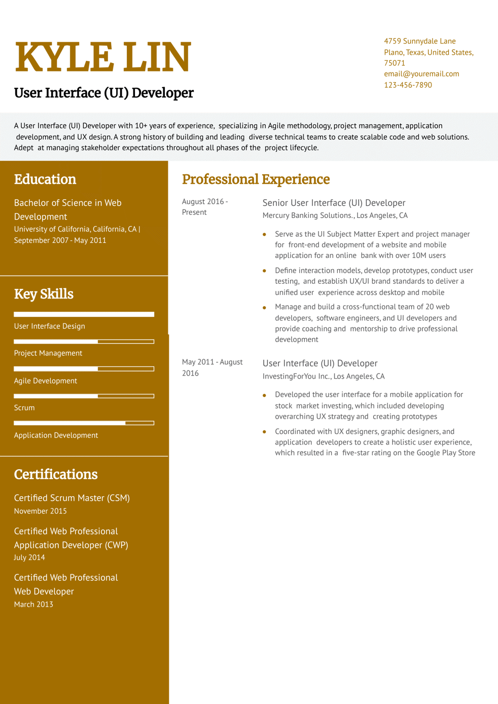 Senior-Level User Interface Developer Resume