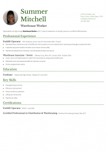 Warehouse Worker Resume Examples Senior-Level