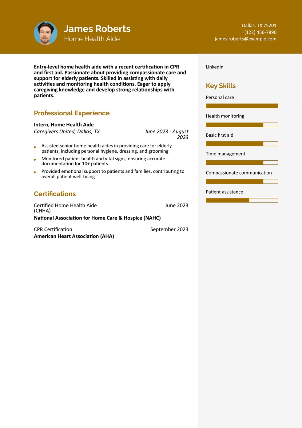 Best Home Health Aide Resume Examples and Templates for 2025
