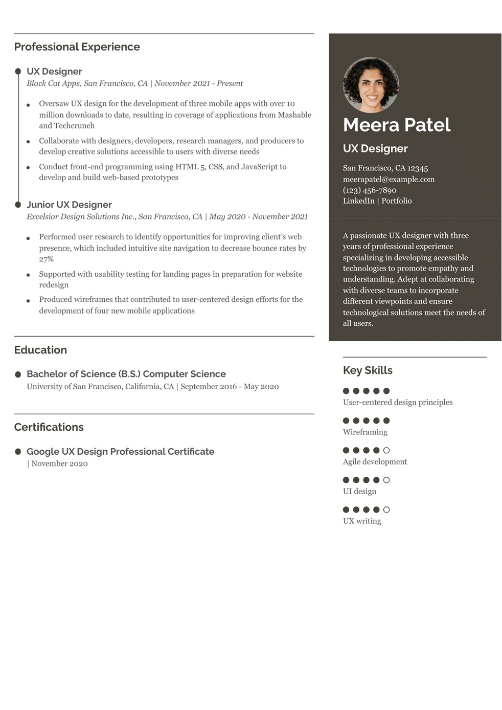 Technical Resume Example