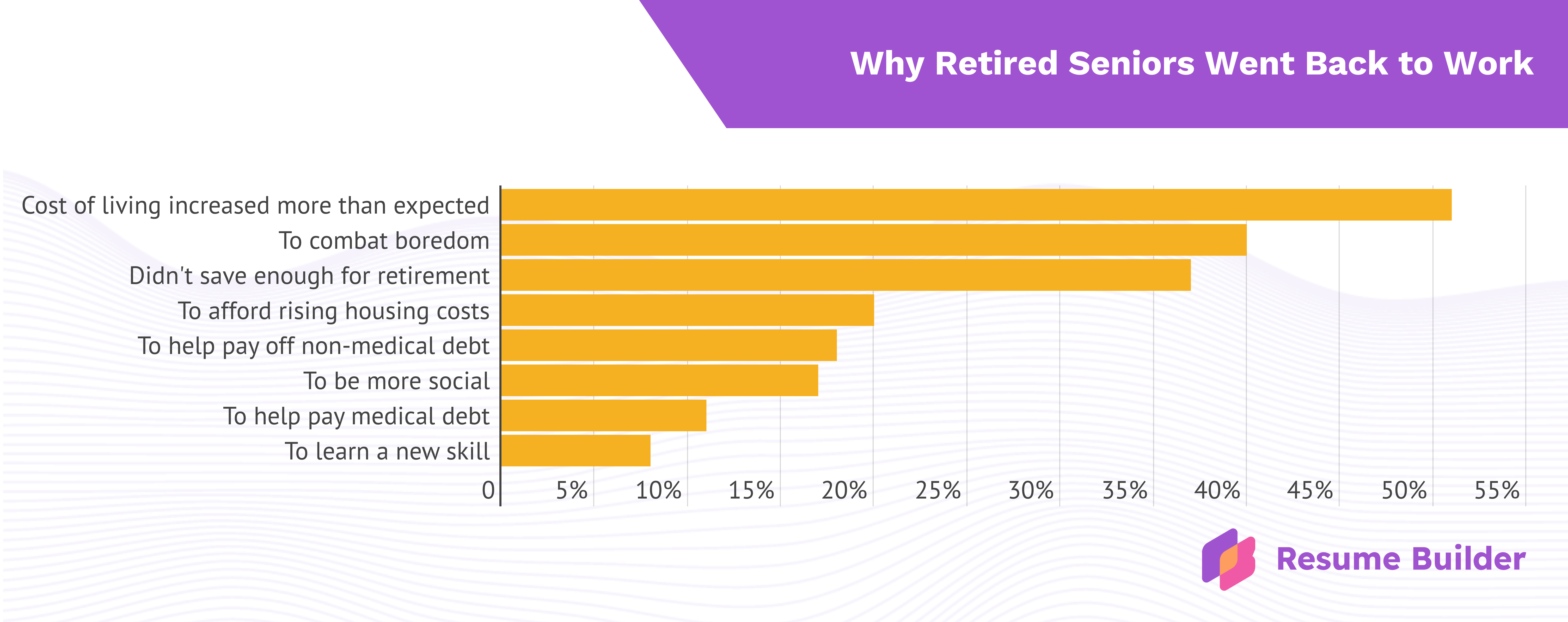 ResumeBuilder infographic