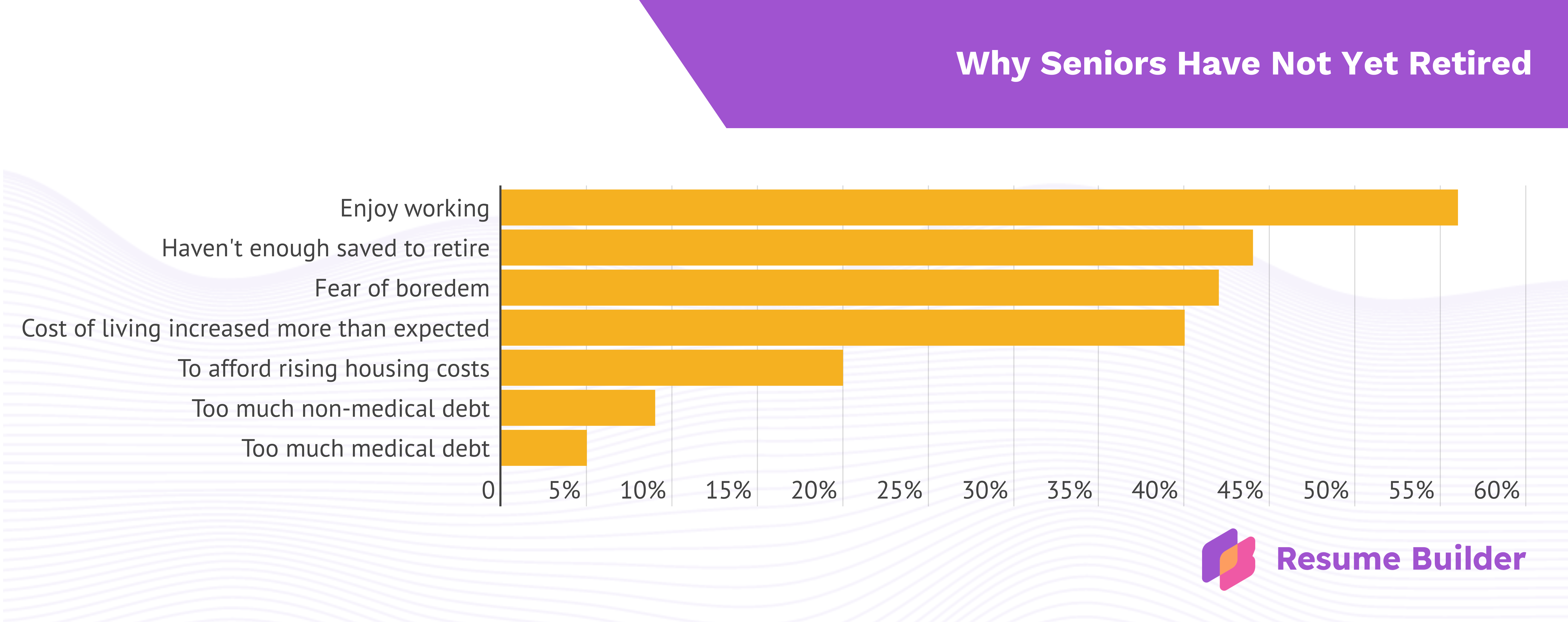 ResumeBuilder infographic
