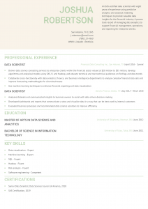 Data Scientist Resume Example