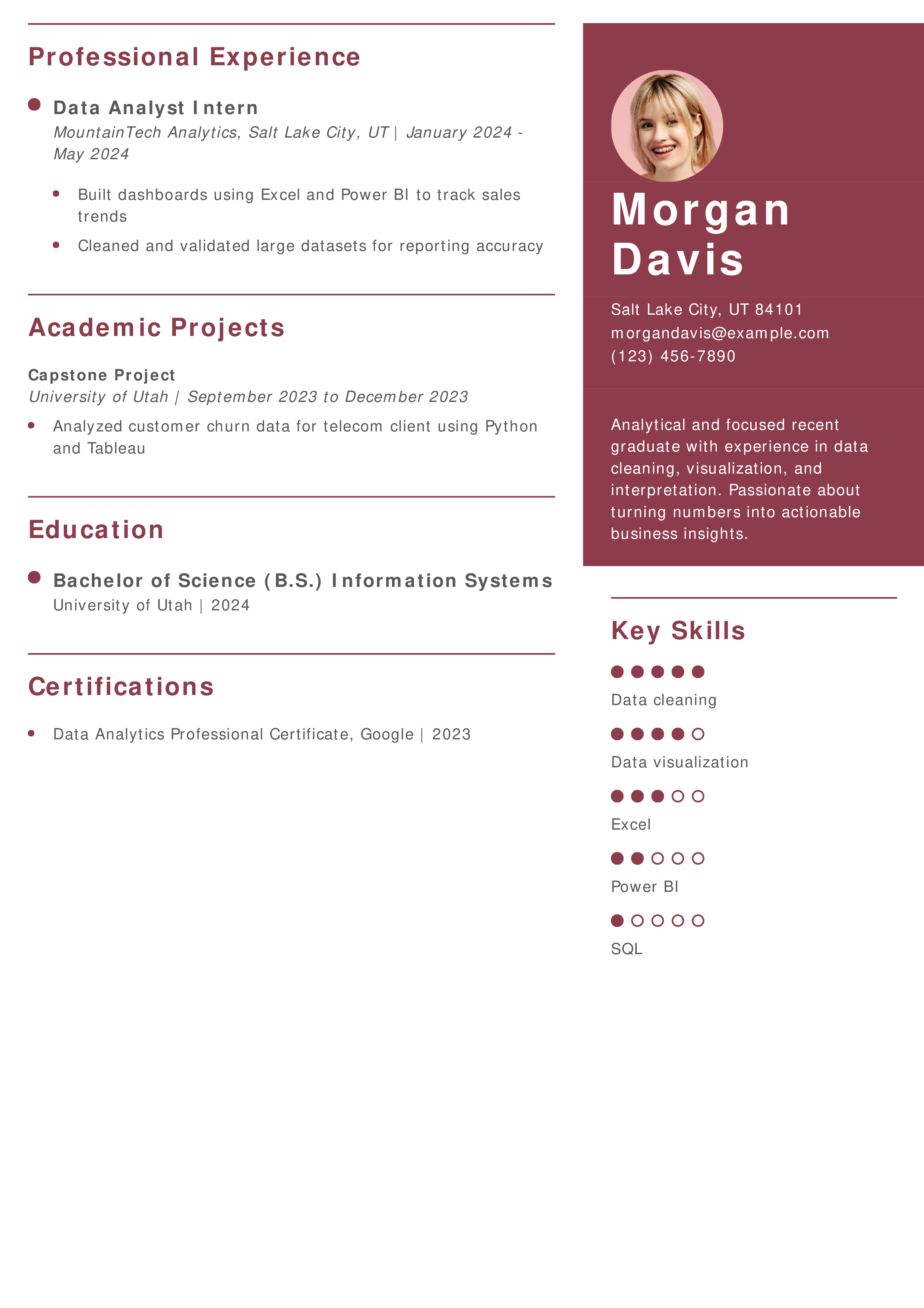 Entry-Level Data Analyst Resume Example