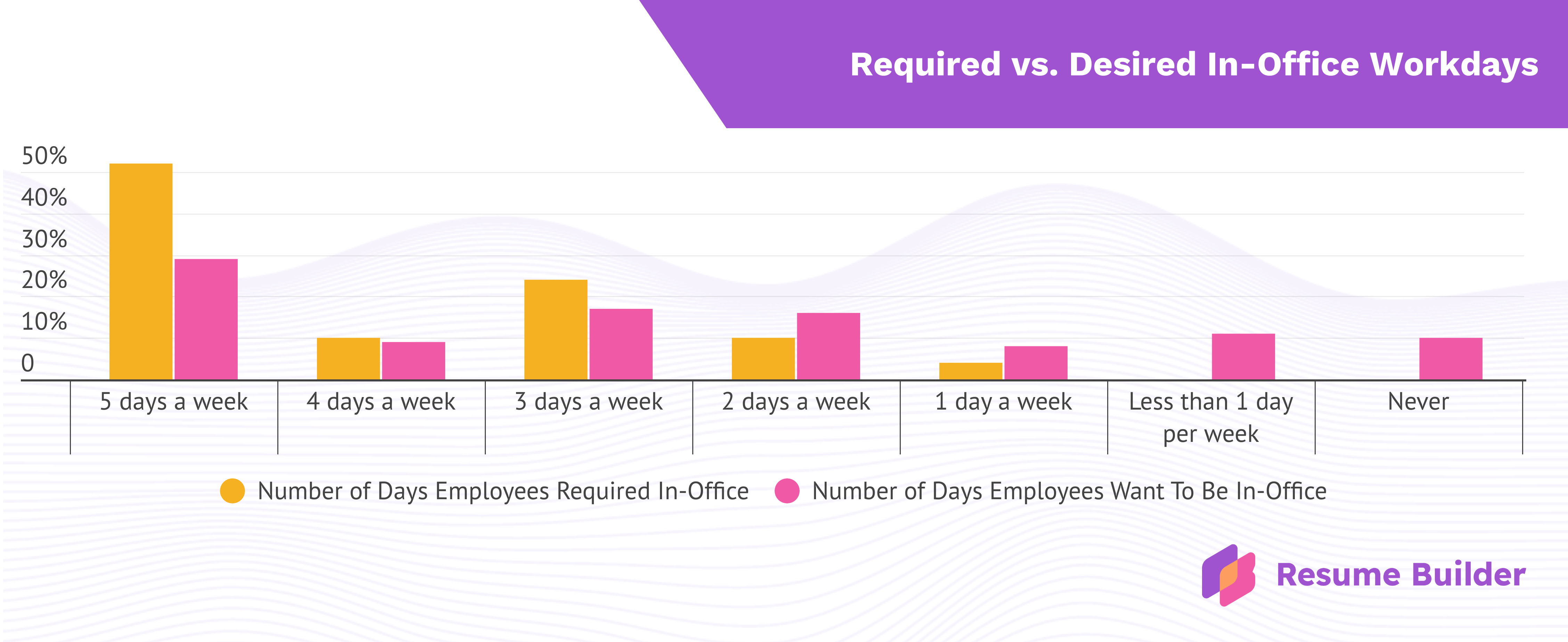 Resumebuilder infographic